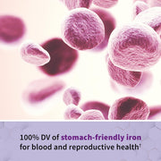 Garden of Life Vitamin Code Raw Prenatal Multivitamin - with Iron & Folate