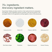 Nuzest Good Green Vitality Greens Powder, Superfood Drink 75+ ingredients