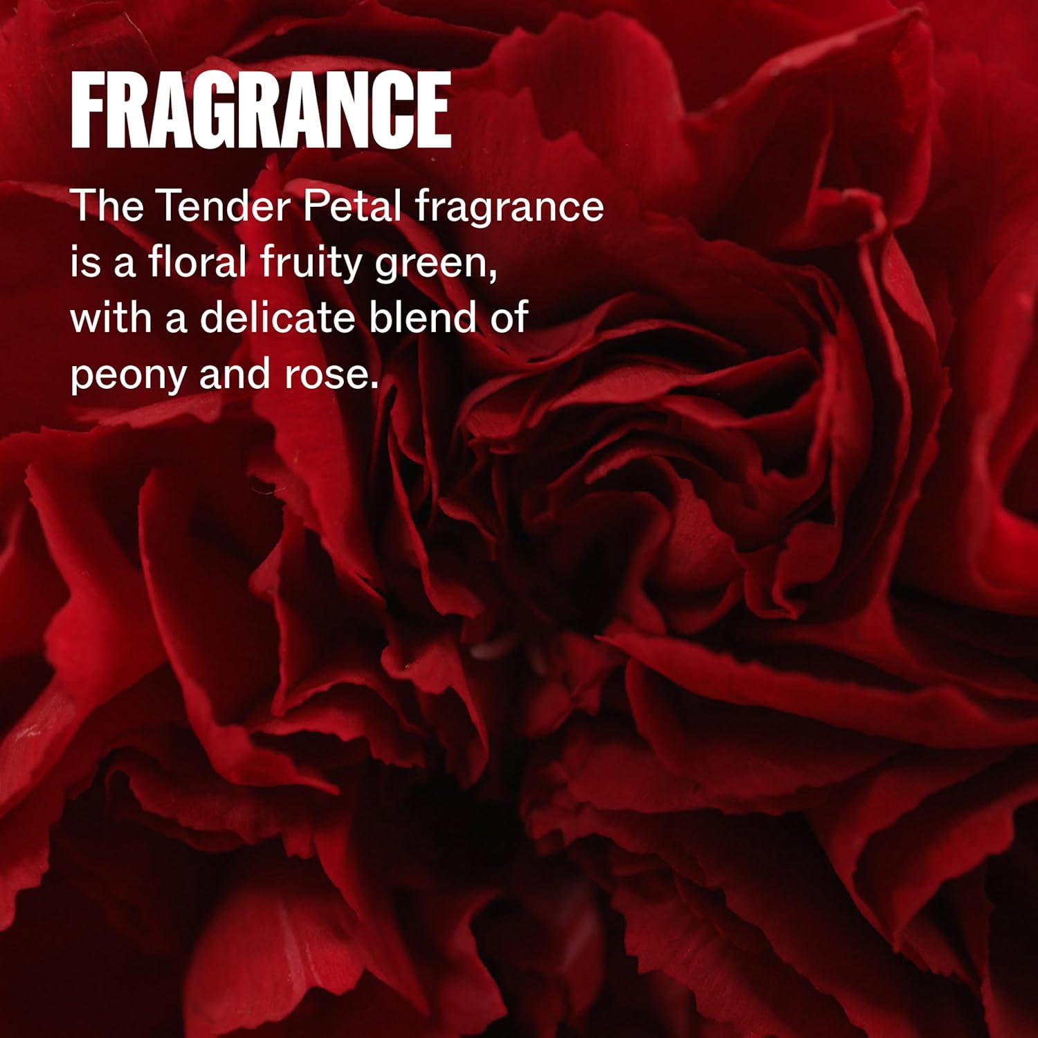 Wella Professionals Leave-In Treatment Spray for Damaged Hair, Step 3 - 30ml