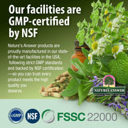 Nature's Answer Ginger Root Liquid Extract Alcohol-Free