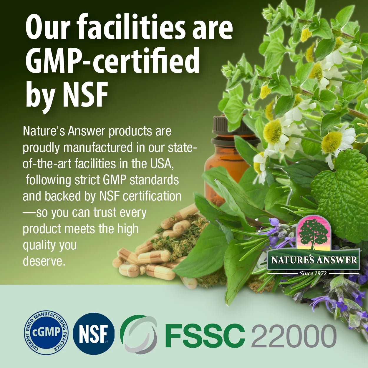 Nature's Answer Marine Magnesium Plant-Based Capsules