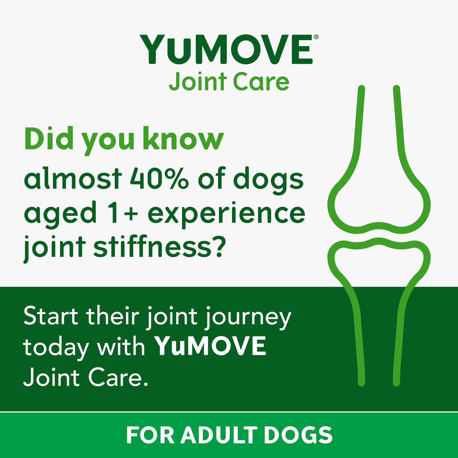 YuMOVE Adult Dog Joint Care Tablets - 120 Tablets