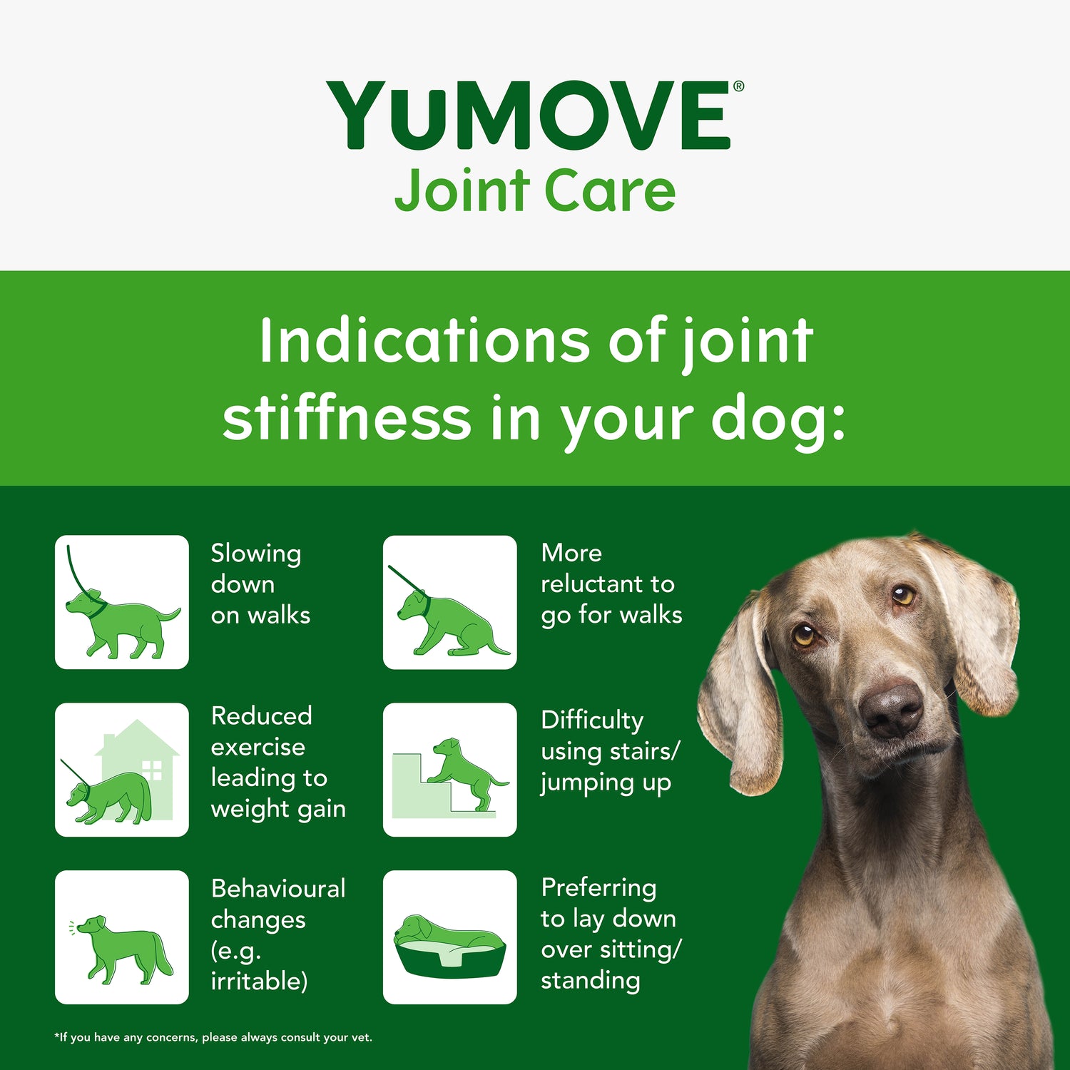 YuMOVE Adult Dog Joint Care Tablets - 120 Tablets