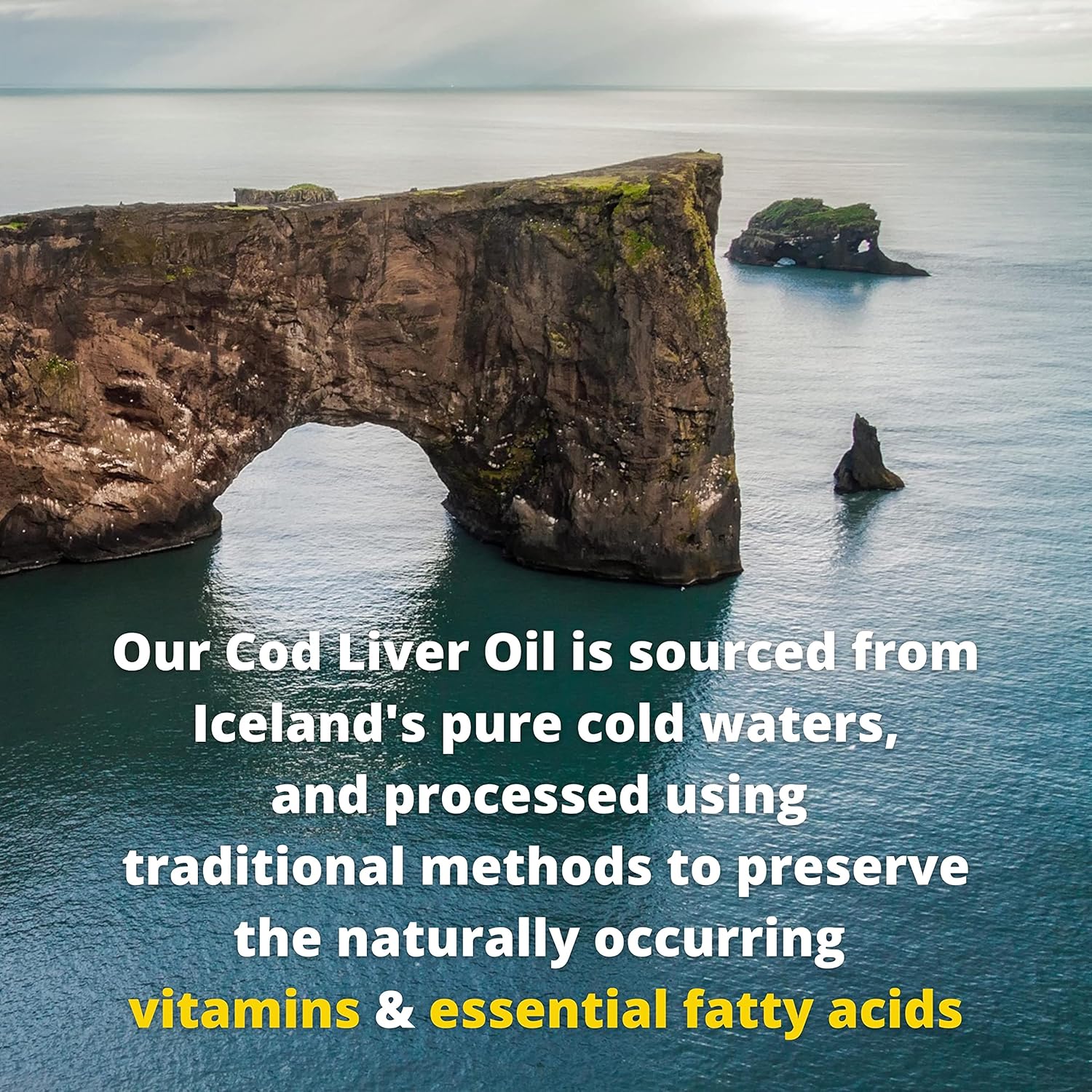 Garden of Life Olde World Icelandic Cod Liver Oil, Lemon Mint - 236ml
