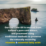 Garden of Life Olde World Icelandic Cod Liver Oil, Lemon Mint - 236ml
