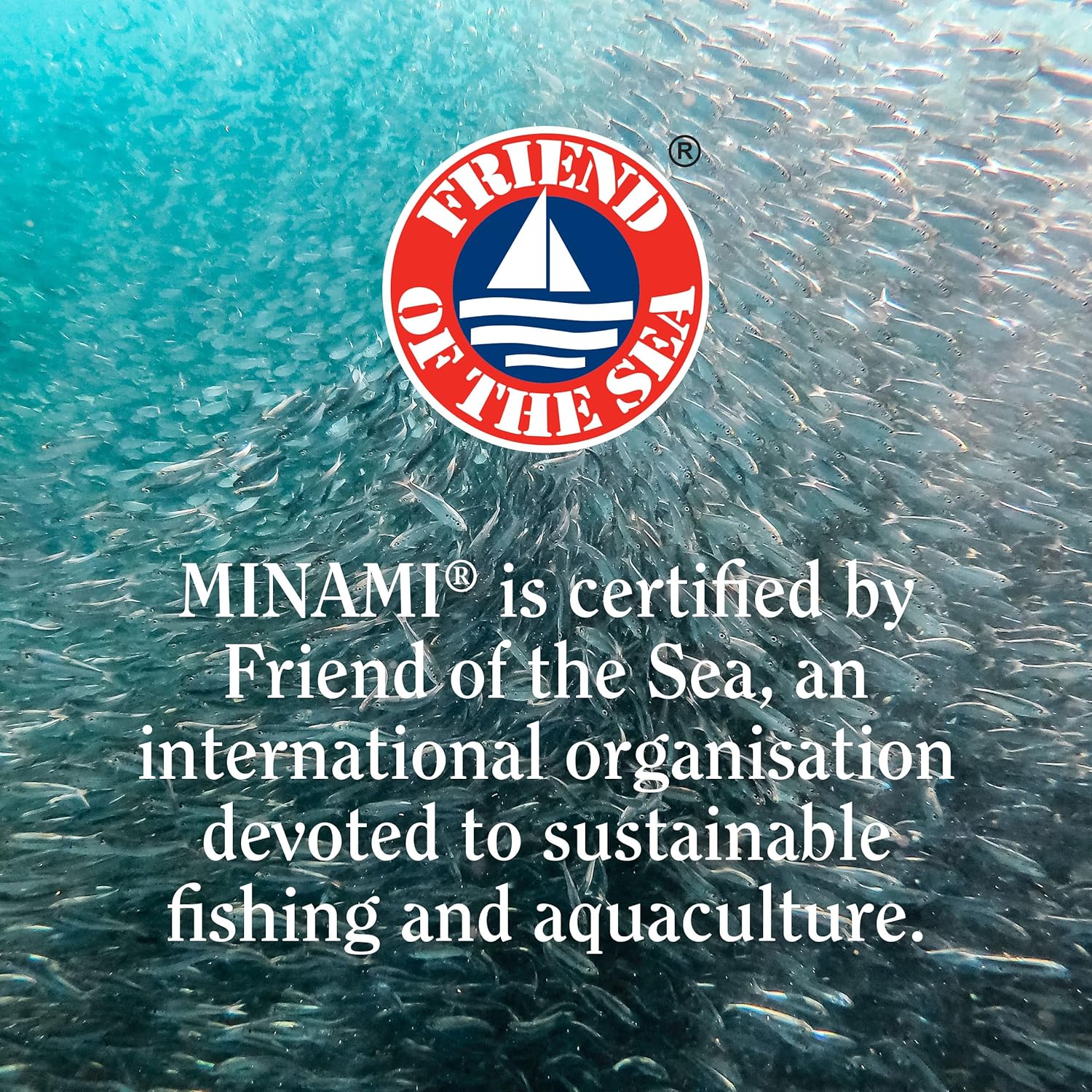 Minami MorEPA Plant Sterols + Omega-3 – Heart Health Formula