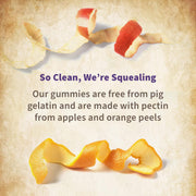 Garden of Life Organics Prenatal Gummies Multivitamin - Vegan Berry