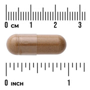 Swanson Full Spectrum Lion's Mane Mushroom 500mg 60 Capsules capsule size comparison with measurement scale