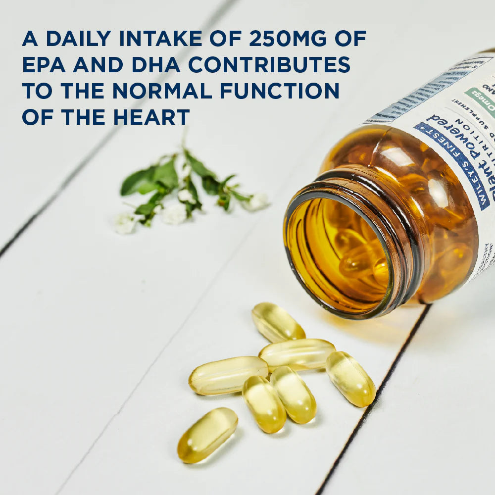 Wiley's Finest CatchFree Vegan Omega-3 Softgels - 60 Count