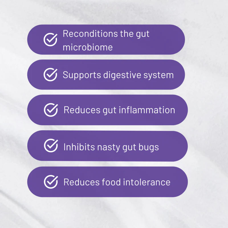 Cura Sporebiotics™ – Vegan Bacillus Spore Probiotic with Antioxidants, 30 Capsules