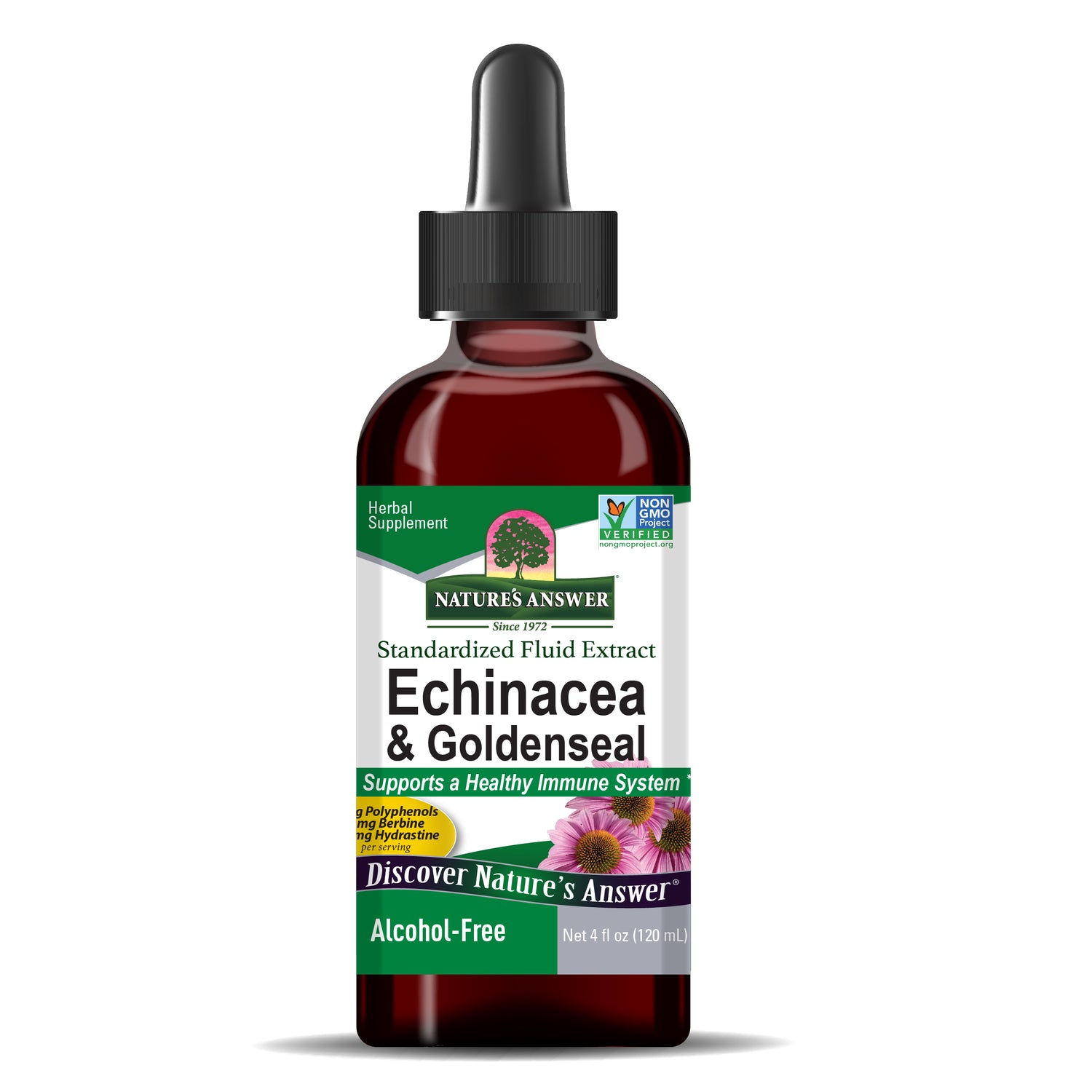 Nature’s Answer Echinacea and Goldenseal alcohol free liquid extract 120ml bottle front view on a white background