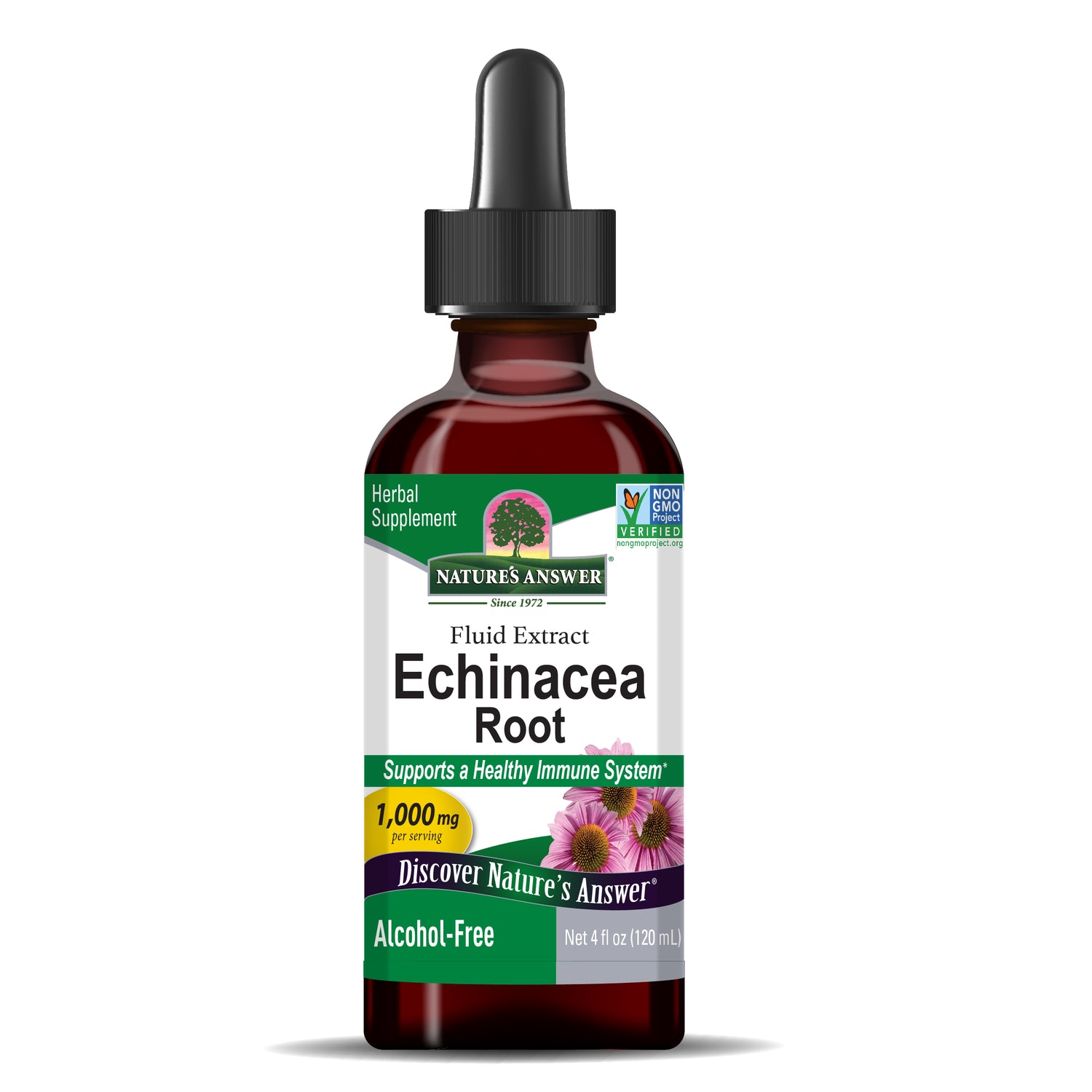 Bottle of Echinacea Root fluid extract with label on a white background