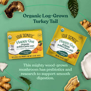 Four Sigmatic Organic Golden Latte Mix, Caffeine-Free - 10 Packets