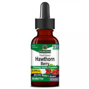 Bottle of Hawthorn Berry fluid extract with dropper on a white background