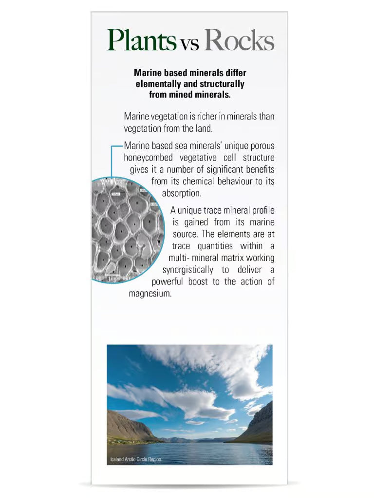 Educational graphic comparing plants and rocks with text and images on a white background