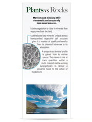 Educational graphic comparing plants and rocks with text and images on a white background