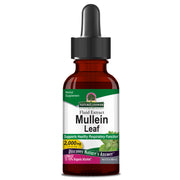 Bottle of Natures Answer Mullein Leaf fluid extract on a white background