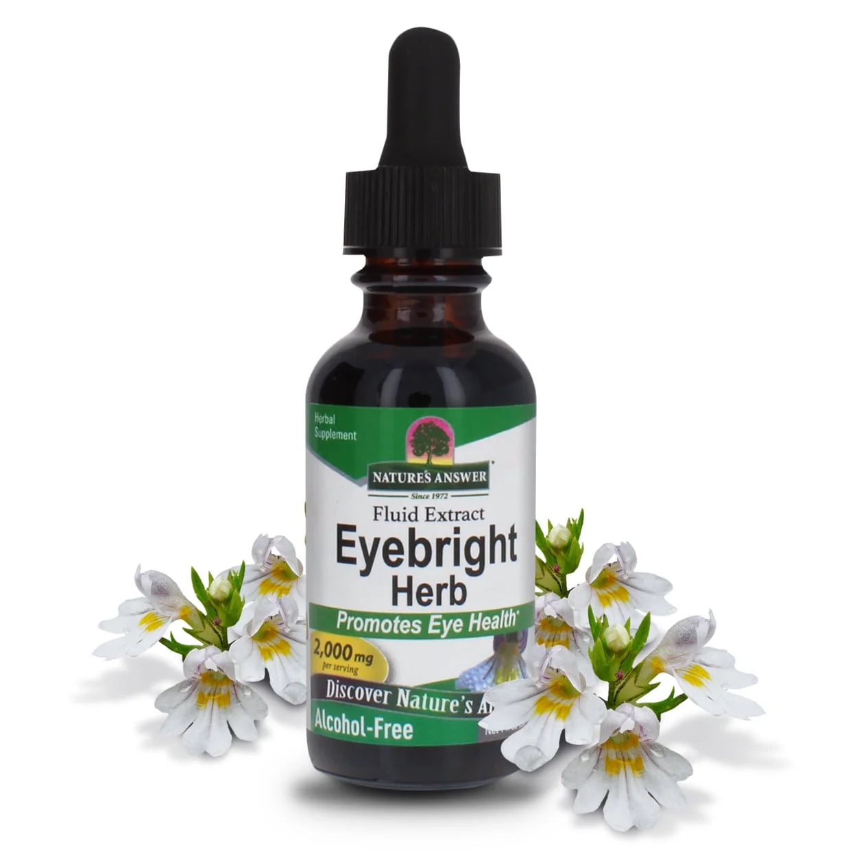 Nature’s Answer Eyebright alcohol-free herbal liquid extract 30ml bottle front label