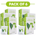 NutraTea Yerba Mate & Gotu Kola Herbal Tea 20 Tea Bags Pack of 6