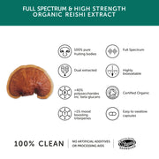 TOGETHER HEALTH REISHI