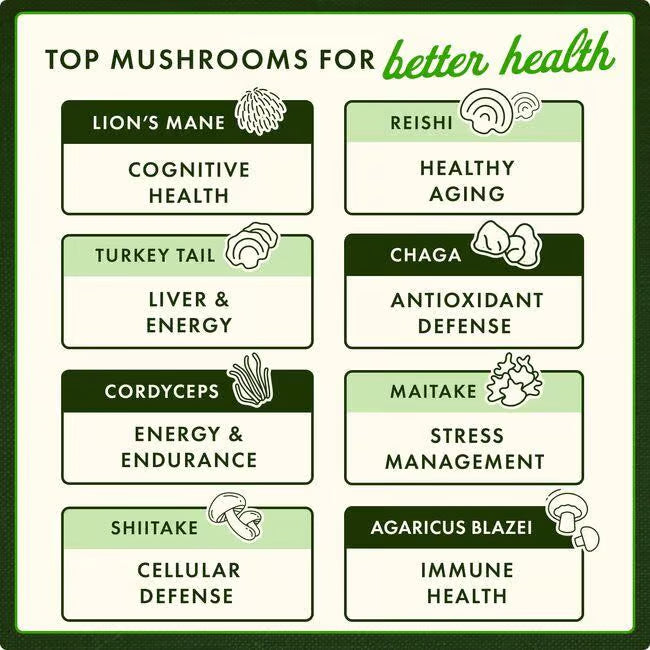 Chart of top mushrooms for better health with labels and illustrations.