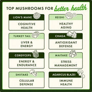 Chart of top mushrooms for better health with labels and illustrations.