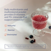 Trace Minerals Power Pak Electrolyte Powder Pomegranate Blueberry - 30 Packets