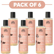Urtekram Nordic Berry Rich Repair Shampoo 250ml Pack of 6
