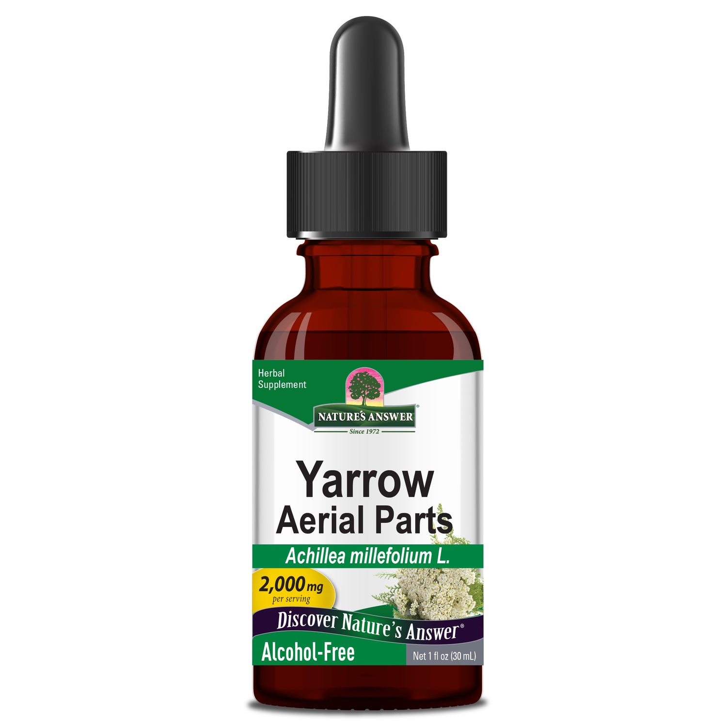 Bottle of Yarrow aerial parts extract with dropper on a white background