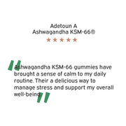 Ashwagandha KSM-66®