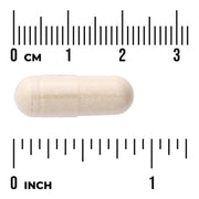 Swanson Muira Puama Root Extract 10:1 250mg 60 Capsules Pack of 2 size comparison with measurement scale