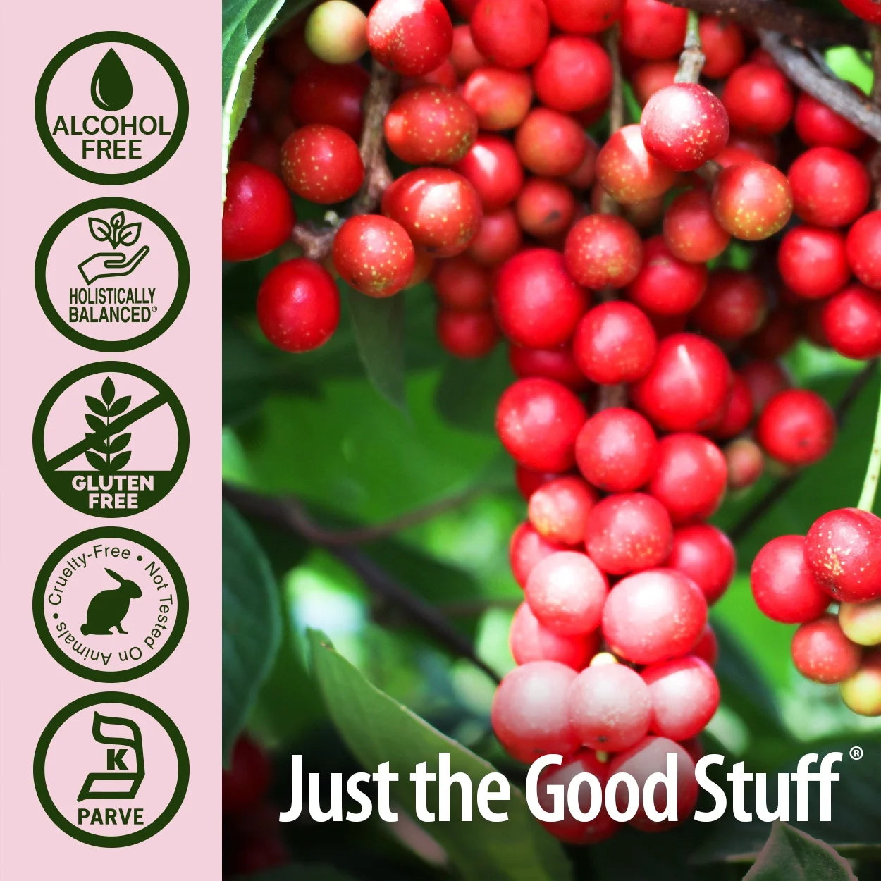 Nature’s Answer Schisandra Berry Alcohol-Free Liquid Extract - 30ml