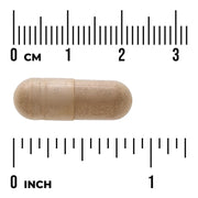 Swanson St. John's Wort Herb 375mg 120 Vegan Capsules Pack of 2 size comparison with measurement scale