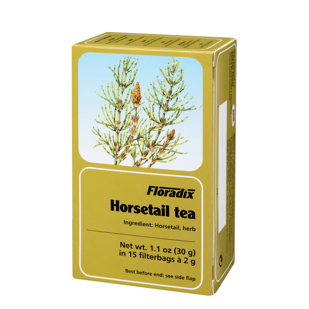 Box of Floradix Horsetail Herbal Tea showing 15 teabags, 2g each.
