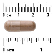 Swanson Full Spectrum Burdock Root 460mg 100 Capsules Pack of 2 herbal supplement capsule bottle 60 capsule size