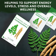 Moringa Leaf Ashwagandha tea packages with leaves and roots on a dark surface, promoting energy levels and wellness.