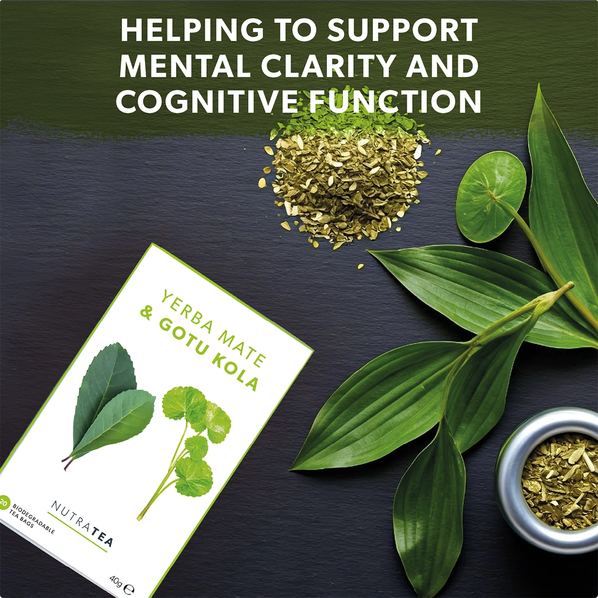 Yerba Mate and Gotu Kola packaging with leaves and text on a dark background