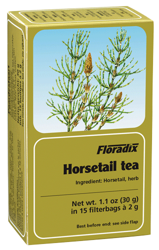 Floradix Horsetail Herbal 15 Teabags