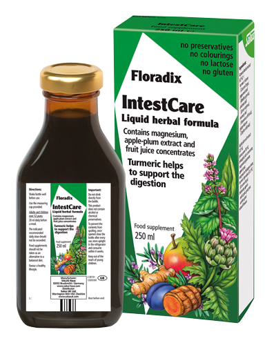 Floradix IntestCare 250ml